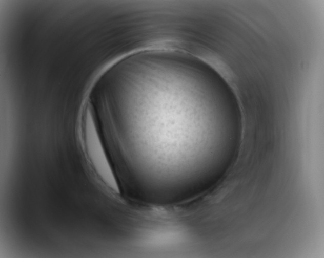 X0000089860960200707121734