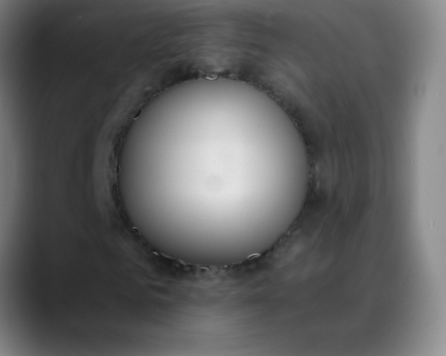 X0000089860961200707121733