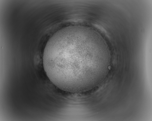 X0000089860966200707121733