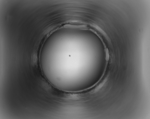 X0000089860969200707121733