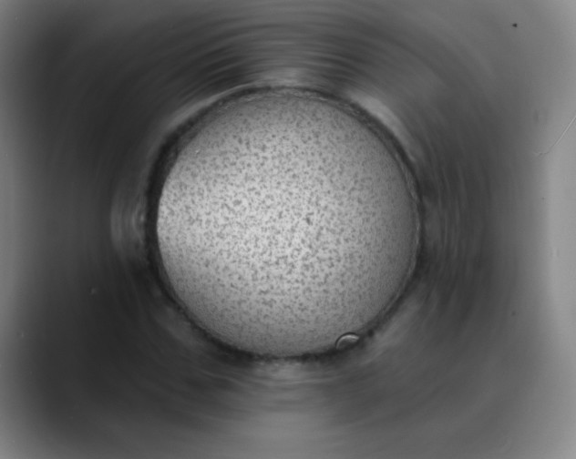 X0000089860971200707121733