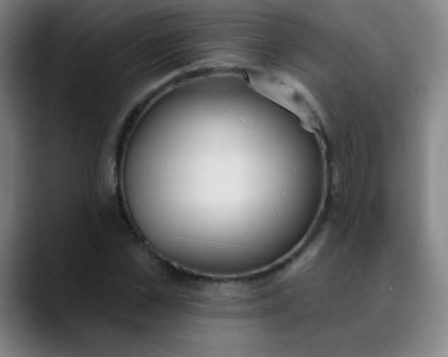 X0000089860973200707121733