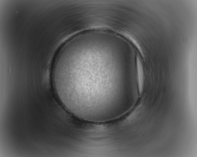 X0000089860975200707121733