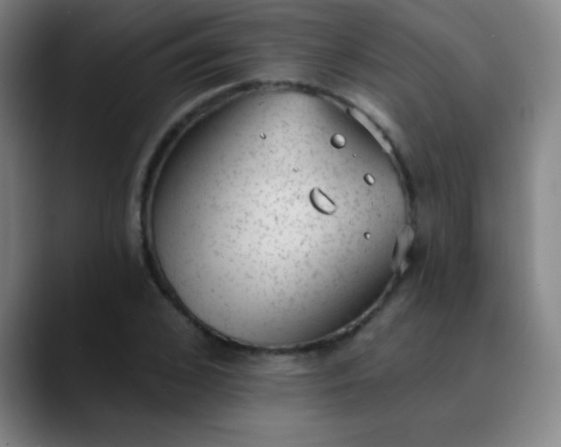 X0000089860976200707121733