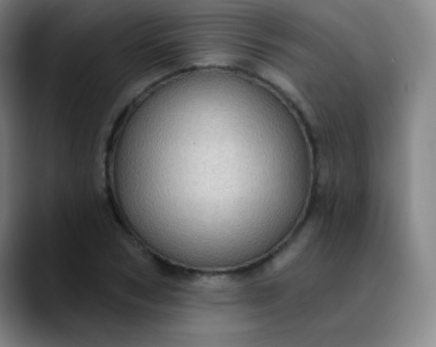 X0000089860978200707121733