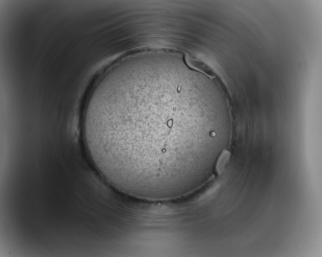 X0000089860979200707121733