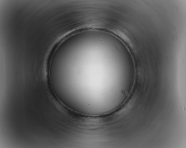 X0000089860981200707121733