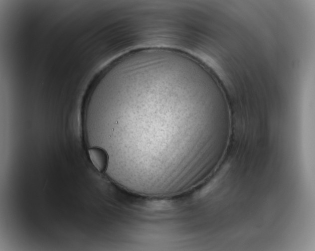 X0000089860982200707121733