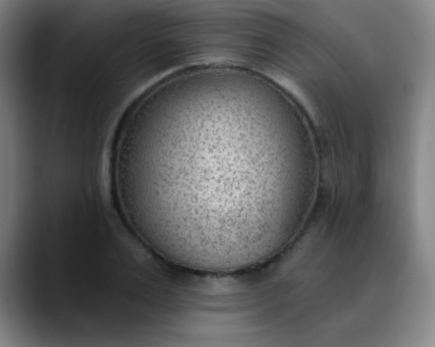 X0000089860983200707121733