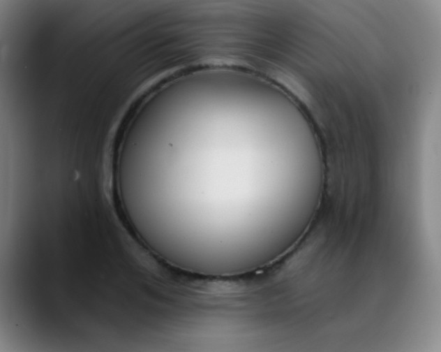 X0000089860984200707121733