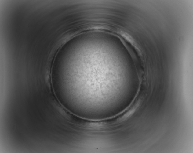 X0000089860985200707121733