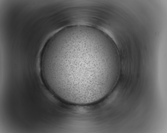 X0000089860987200707121733