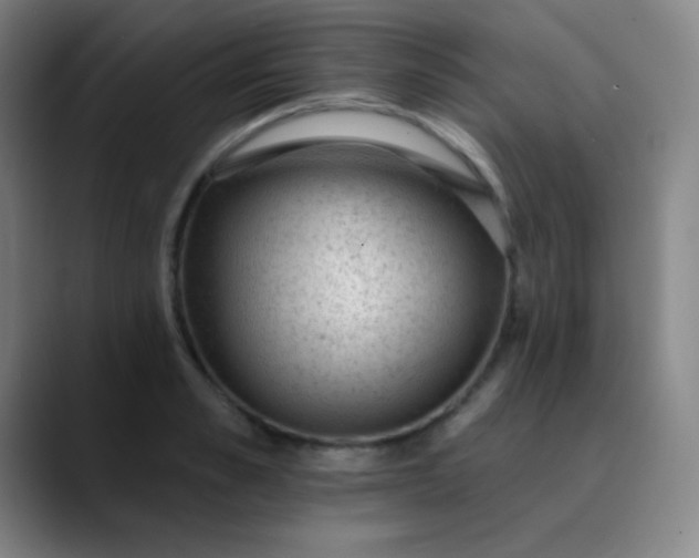 X0000089860989200707121733