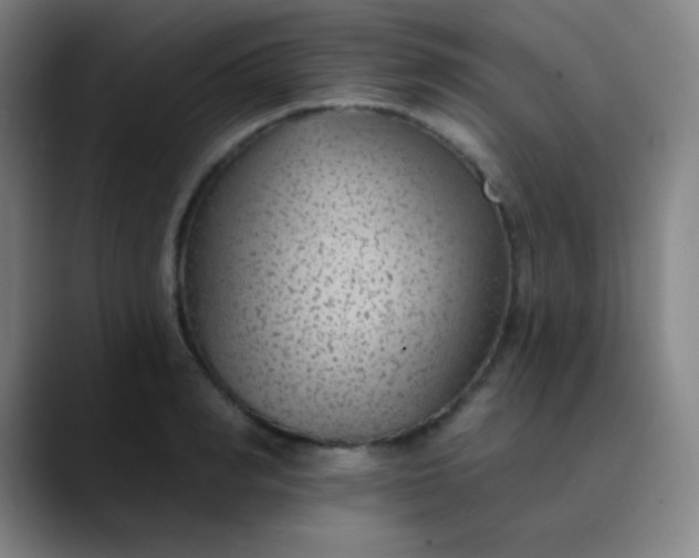 X0000089860990200707121733