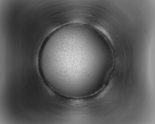 X0000089860991200707121733