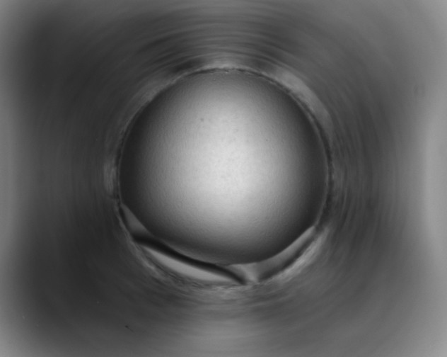 X0000089860993200707121733