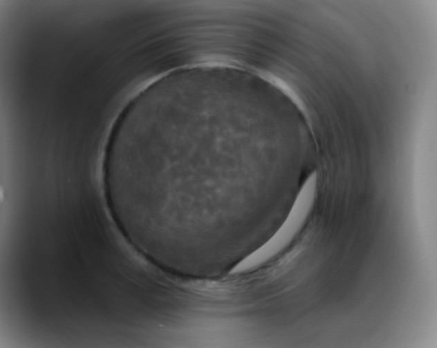 X0000089860995200707121733