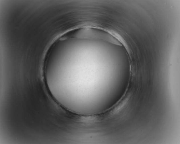 X0000089860997200707121733