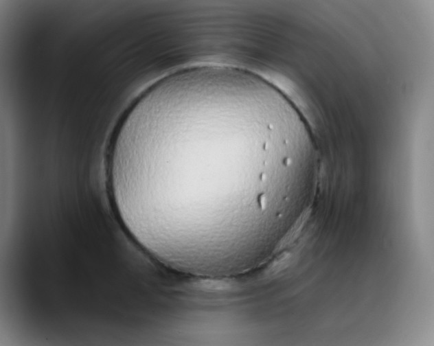 X0000089860998200707121733