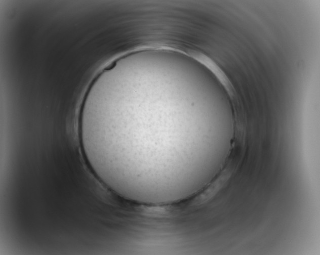 X0000089861004200707121732