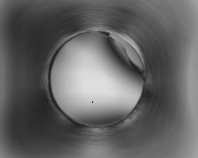 X0000089861005200707121732