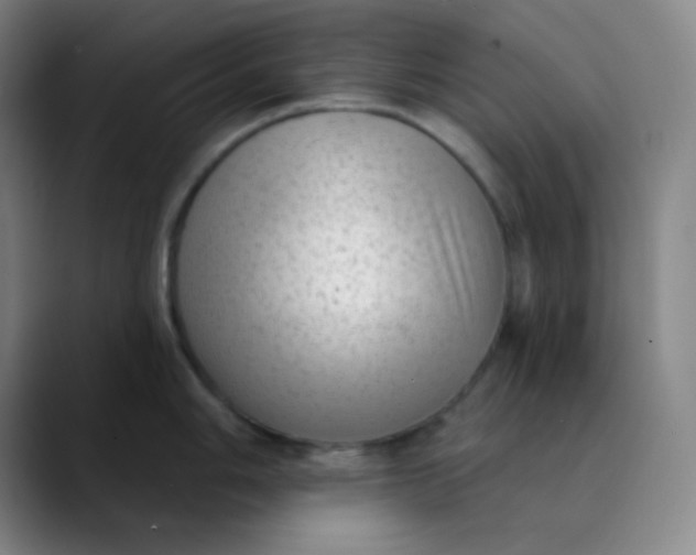 X0000089861006200707121732