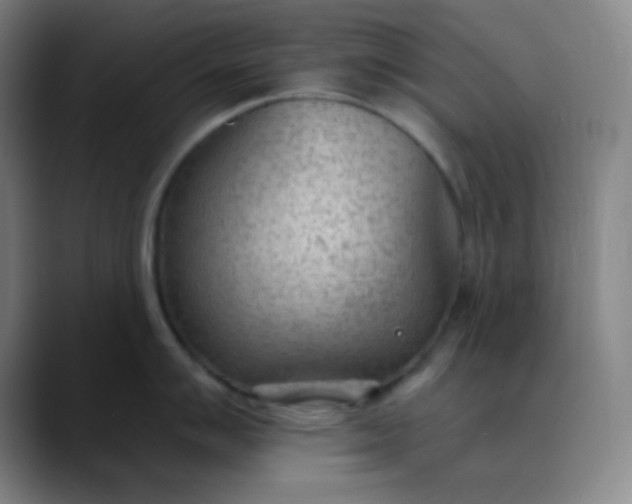 X0000089861007200707121732