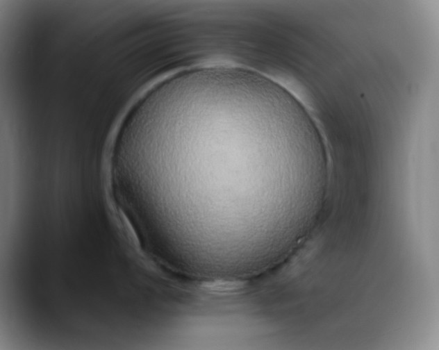 X0000089861008200707121732