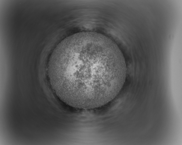 X0000089861009200707121732