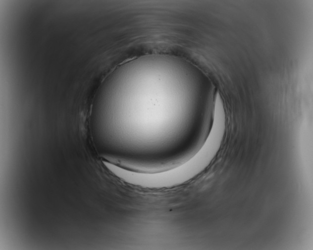 X0000089861010200707121732