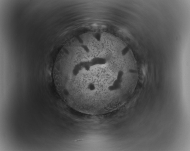 X0000089861013200707121732