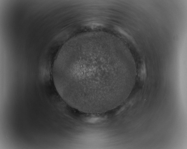 X0000089861014200707121732