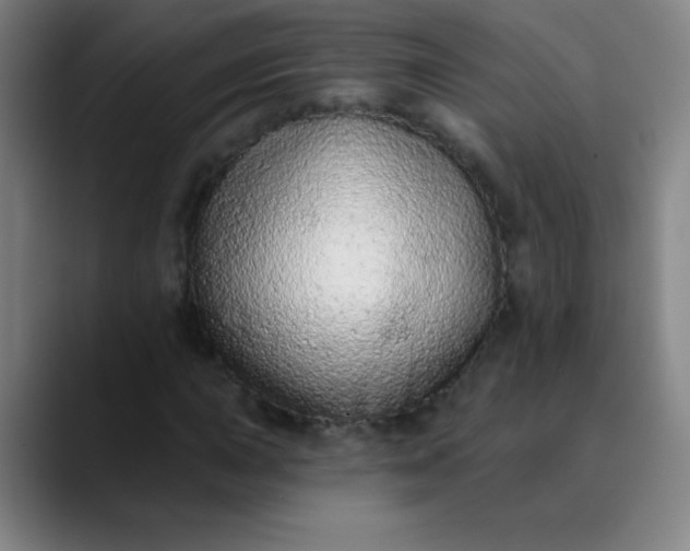 X0000089861015200707121732