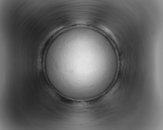 X0000089861019200707121732