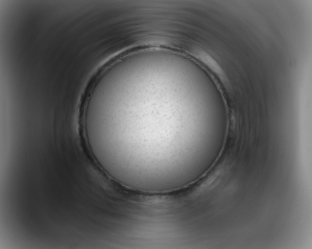 X0000089861020200707121732