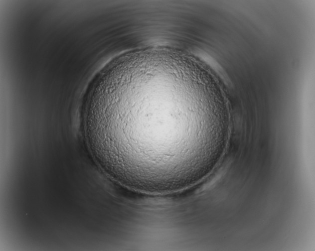 X0000089861023200707121732