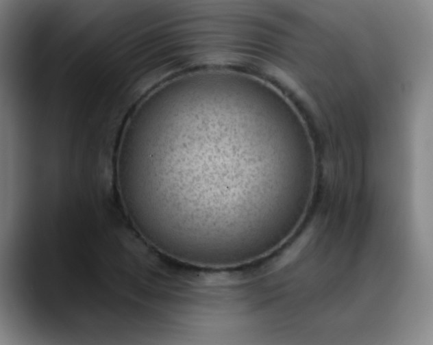 X0000089861025200707121732