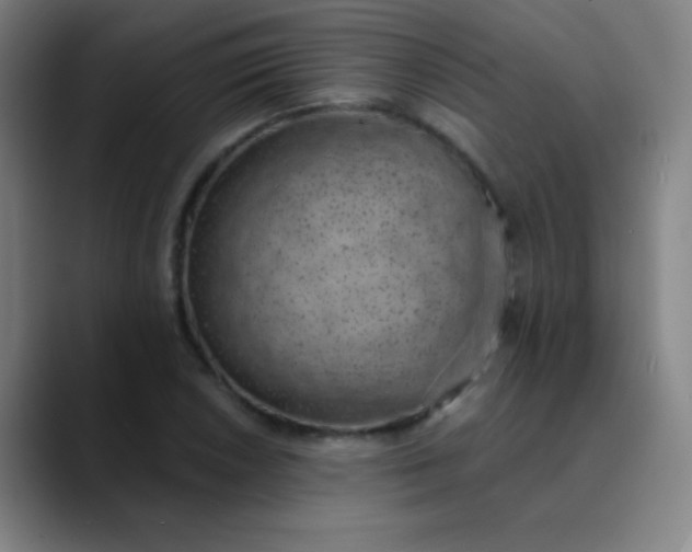 X0000089861026200707121732