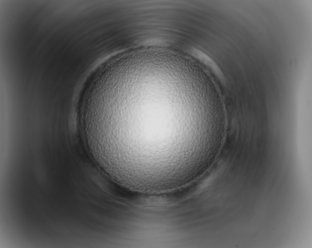 X0000089861027200707121732