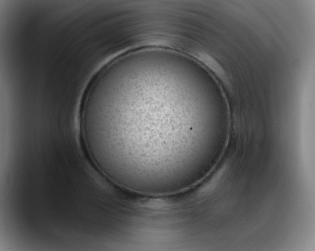 X0000089861028200707121732