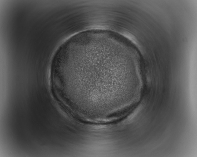 X0000089861030200707121732