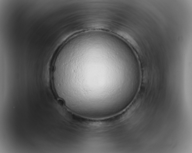 X0000089861031200707121732