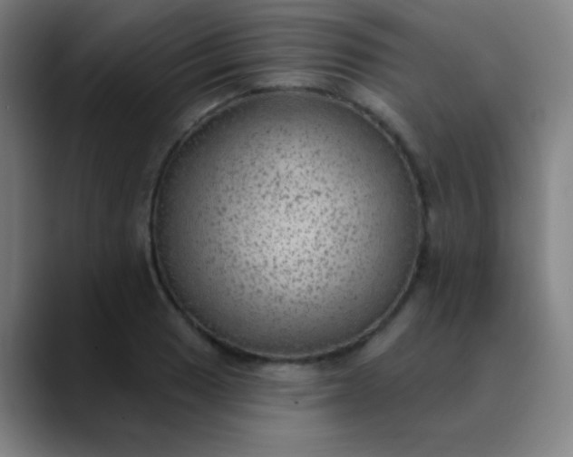 X0000089861033200707121732