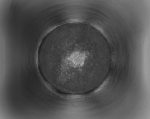 X0000089861034200707121732