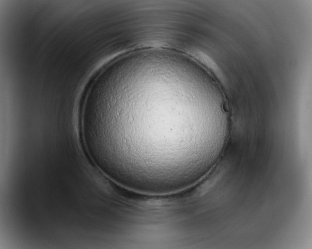 X0000089861035200707121732