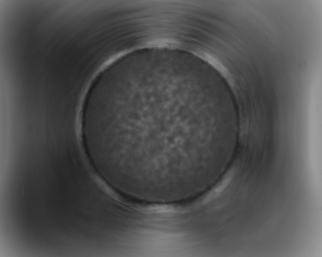 X0000089861037200707121732