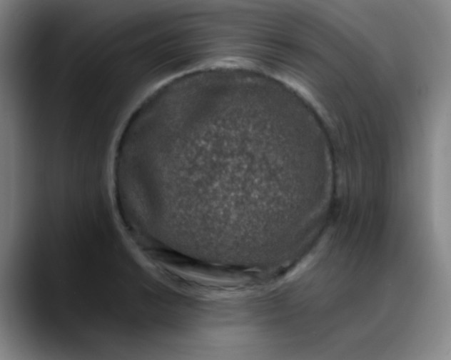 X0000089861038200707121732