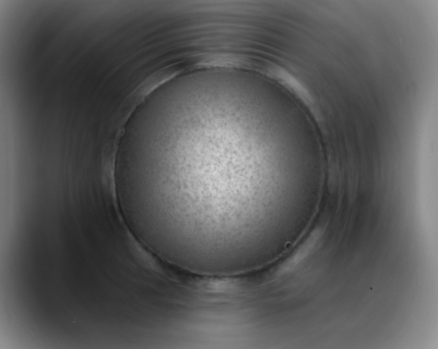 X0000089861041200707121732