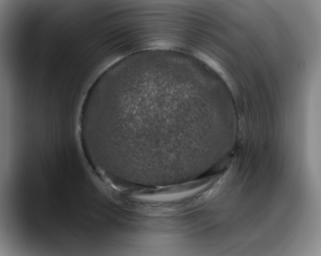 X0000089861042200707121732