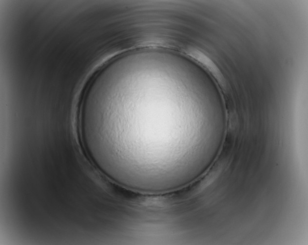 X0000089861043200707121732